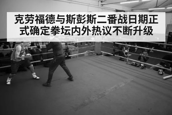 boxer training gym